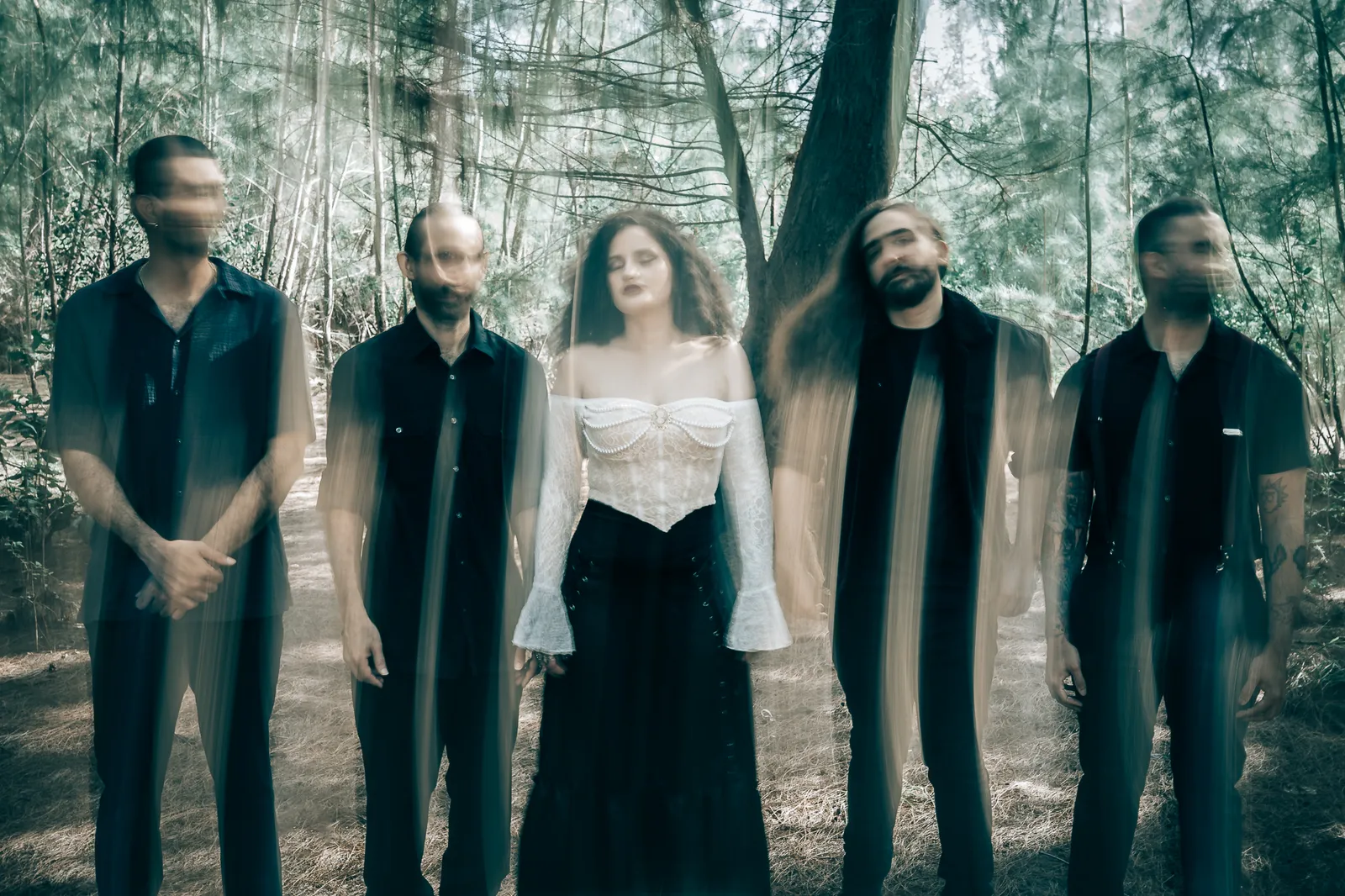 MOTHS band atmospheric forest photo